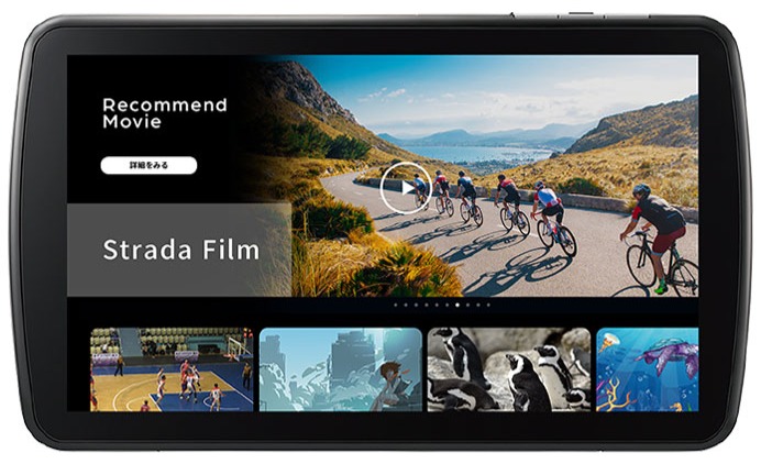 CN-F1D9C1DA 9インチ CN-F1D9C1DA 9インチ